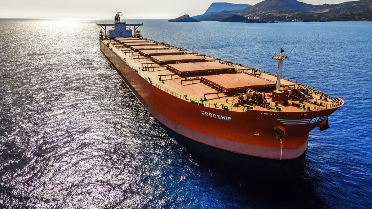Bulk carrier vessel supported by Port Star Marine